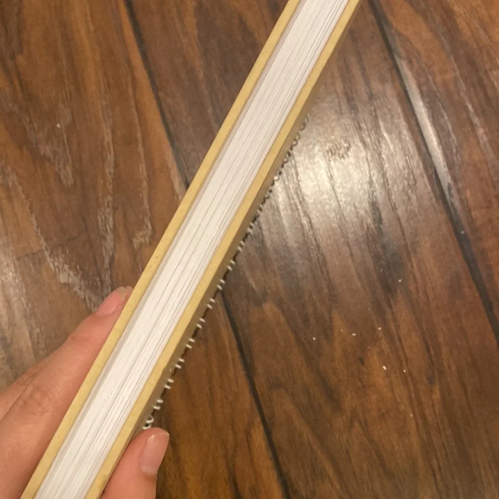 brand new agave undated planner/journal